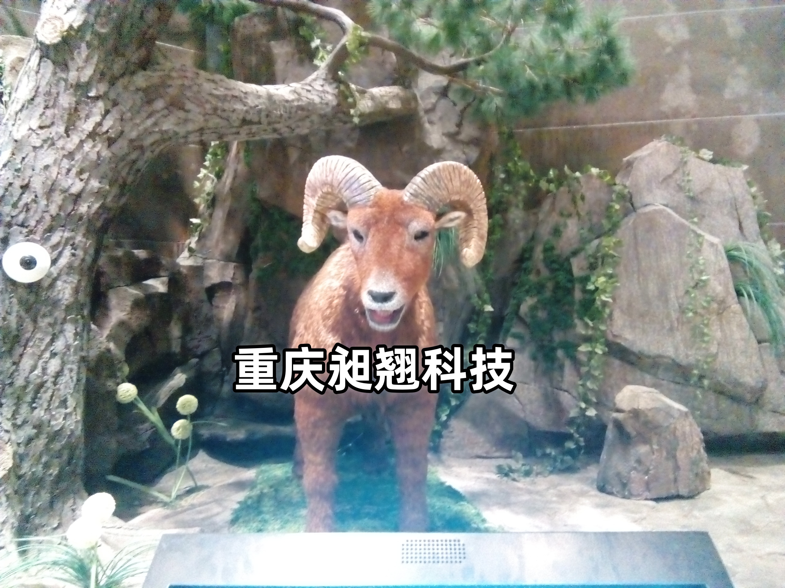 機器牛